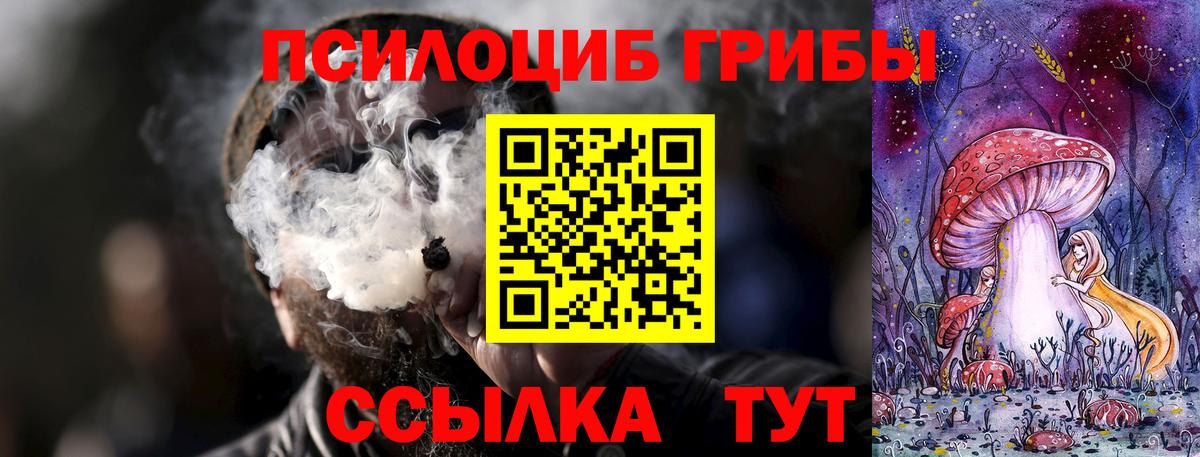 Псилоцибиновые грибы мицелий  Вход с VPN  Тихвин  Галлюциногенные грибы GOLDEN TEACHER 